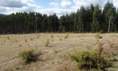 Hermosa parcela con casa