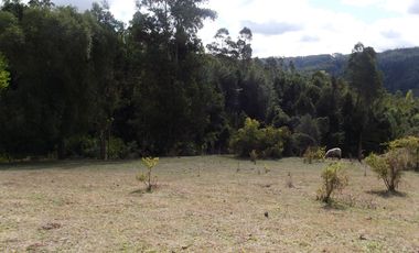 Hermosa parcela con casa