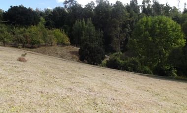 Hermosa parcela con casa