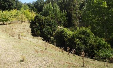 Hermosa parcela con casa