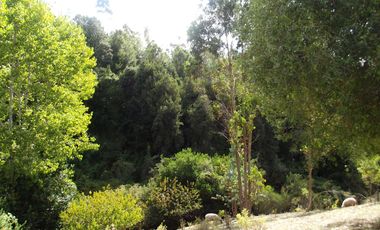 Hermosa parcela con casa