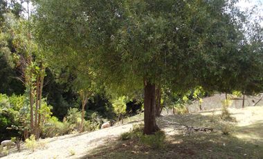 Hermosa parcela con casa