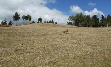 Hermosa parcela con casa