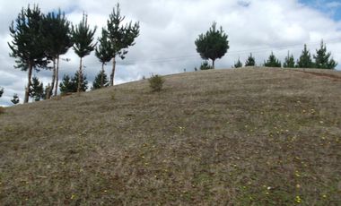 Hermosa parcela con casa