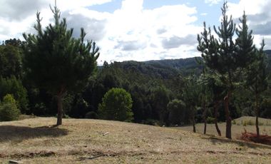 Hermosa parcela con casa