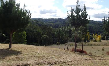 Hermosa parcela con casa
