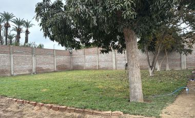 🌞🏡 Alquiler De Casa De Campo Amoblada En Pariña Grande – Pueblo Nuevo, Ica 🏖️🌿