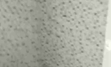 Disewakan Rumah Baru di Alana Cemandi, Sedati, Kab. Sidoarjo