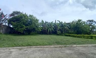 Subdivided Lot For Sale in Mendez Cavite-MC