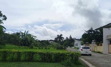 Subdivided Lot For Sale in Mendez Cavite-MC