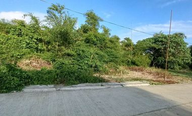 Residential Lot For Sale in Bukal Mendez Cavite-MC