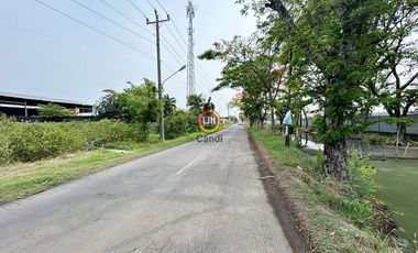 Kavling di Kaliwungu Kendal Jawa Tengah