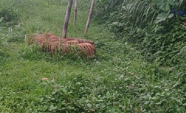 Tanah kosong 228 Meter di Padalarang, Bandung Barat Ref.05166