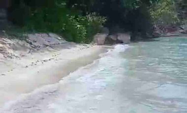 Dijual Cepat Tanah Daerah Pariwisata Pulau Moyo Sumbawa