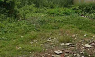 Dijual Tanah Luas Murah Johar Karawang