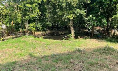 ขายที่ดิน เนื้อที่ 3 งาน 56 ตร.วา บ้านลาด เพชรบุรี