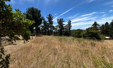Parcelas de 6.000 m² en Las Mariposas – A solo 8 minutos de Temuco