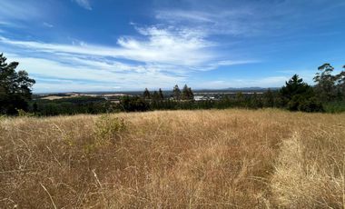 Parcelas de 6.000 m² en Las Mariposas – A solo 8 minutos de Temuco