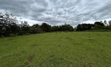 terreno de 24.000 m², con excelente conectividad Metrenco