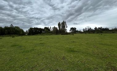 terreno de 24.000 m², con excelente conectividad Metrenco