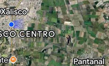 se venden 4 hectareas en Xalisco