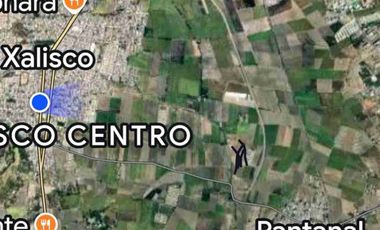 se venden 4 hectareas en Xalisco