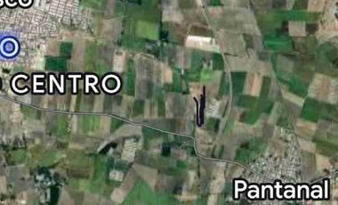 se venden 4 hectareas en Xalisco