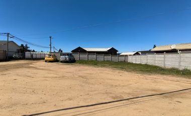 EL MEMBRILLO – EL TABO