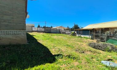 EL MEMBRILLO – EL TABO