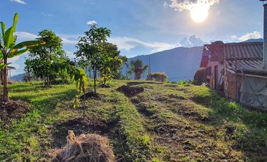 Casa Finca La Zoila Rosa, vereda la liboriana, corregimiento de Versalles, Municipio de Santa Bárbara, Antioquia.