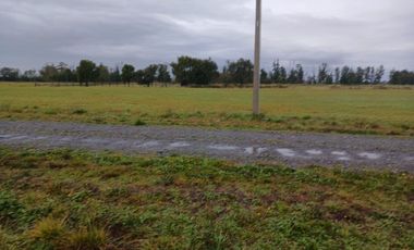 se vende hermosa parcela sector Champel a minutos de la ciudad de Rio Bueno