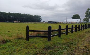 se vende hermosa parcela sector Champel a minutos de la ciudad de Rio Bueno