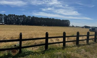 se vende hermosa parcela sector Champel a minutos de la ciudad de Rio Bueno