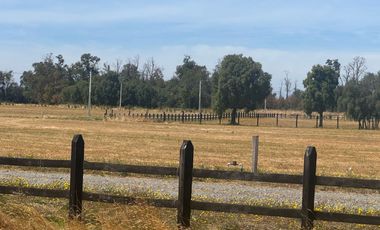 se vende hermosa parcela sector Champel a minutos de la ciudad de Rio Bueno