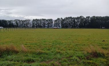 se vende hermosa parcela sector Champel a minutos de la ciudad de Rio Bueno