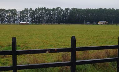 se vende hermosa parcela sector Champel a minutos de la ciudad de Rio Bueno