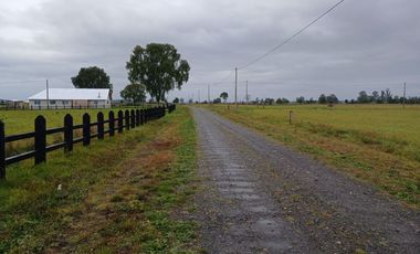 se vende hermosa parcela sector Champel a minutos de la ciudad de Rio Bueno