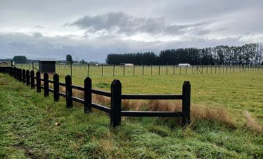 se vende hermosa parcela sector Champel a minutos de la ciudad de Rio Bueno