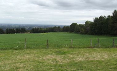 Se vende hermoso campo en la Comuna de La Comuna de La Union Region de los Rios