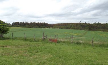 Se vende hermoso campo en la Comuna de La Comuna de La Union Region de los Rios