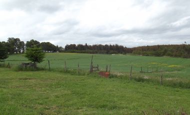 Se vende hermoso campo en la Comuna de La Comuna de La Union Region de los Rios