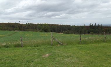 Se vende hermoso campo en la Comuna de La Comuna de La Union Region de los Rios