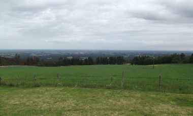 Se vende hermoso campo en la Comuna de La Comuna de La Union Region de los Rios