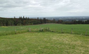 Se vende hermoso campo en la Comuna de La Comuna de La Union Region de los Rios