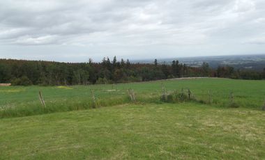 Se vende hermoso campo en la Comuna de La Comuna de La Union Region de los Rios