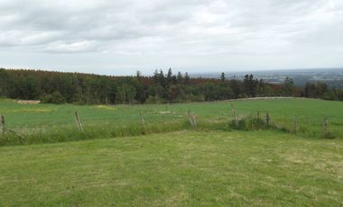 Se vende hermoso campo en la Comuna de La Comuna de La Union Region de los Rios