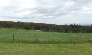 Se vende hermoso campo en la Comuna de La Comuna de La Union Region de los Rios