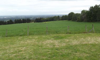 Se vende hermoso campo en la Comuna de La Comuna de La Union Region de los Rios