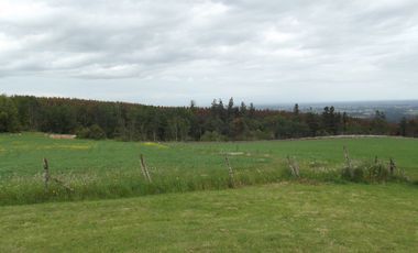 Se vende hermoso campo en la Comuna de La Comuna de La Union Region de los Rios