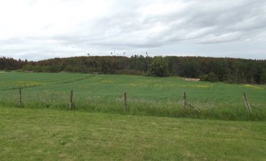 Se vende hermoso campo en la Comuna de La Comuna de La Union Region de los Rios